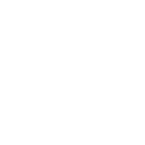 VJIT Logo